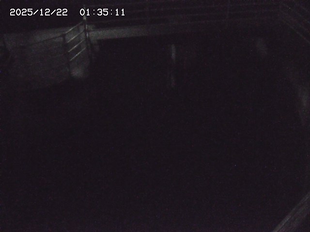 取得できませんでした