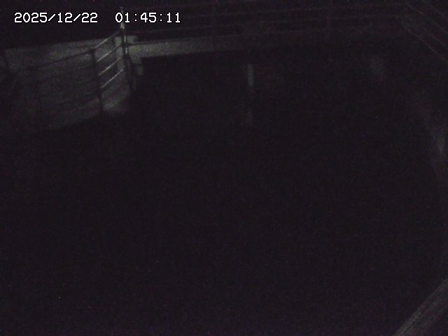 取得できませんでした