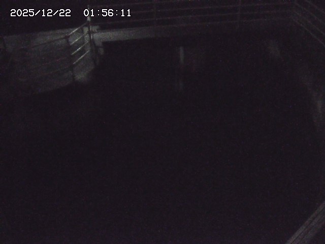 取得できませんでした