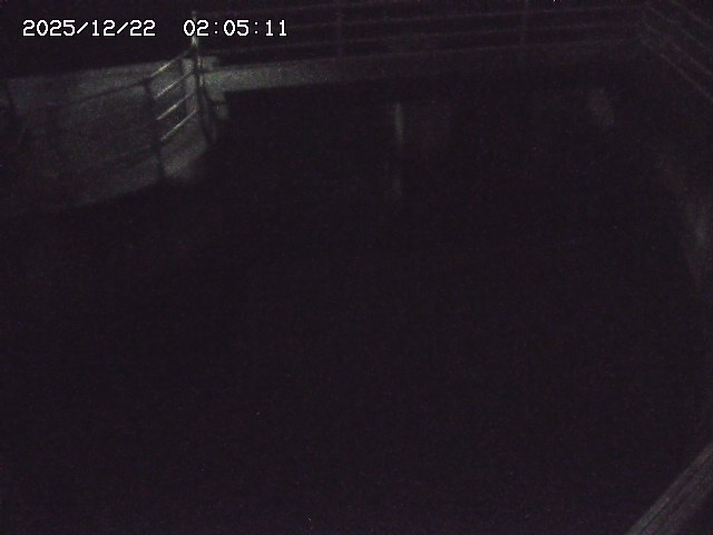 取得できませんでした