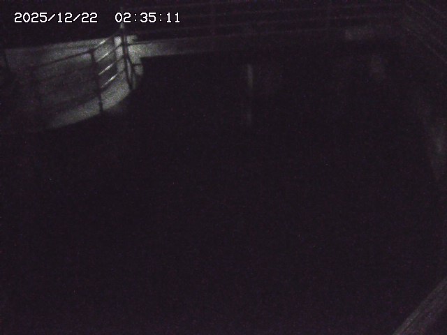 取得できませんでした