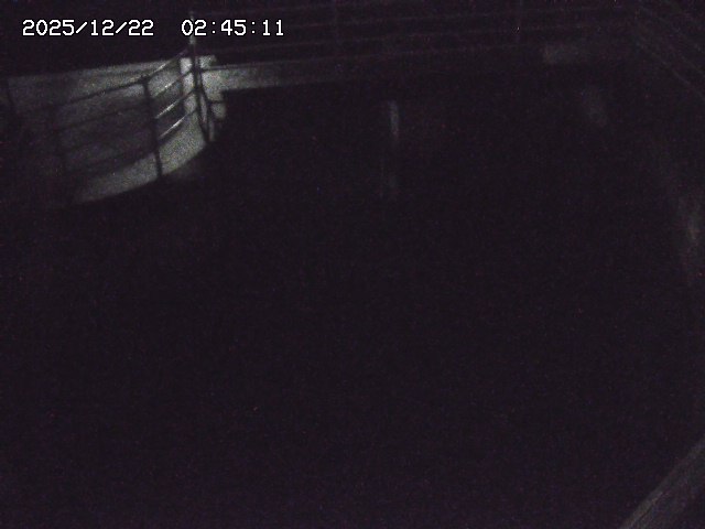 取得できませんでした