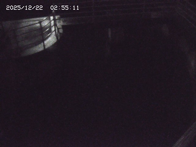 取得できませんでした