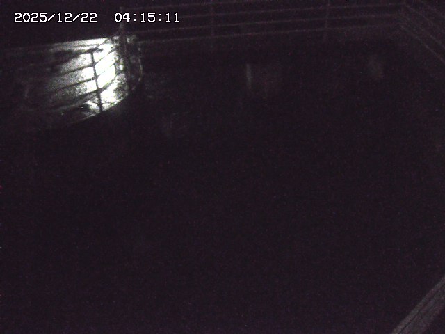 取得できませんでした