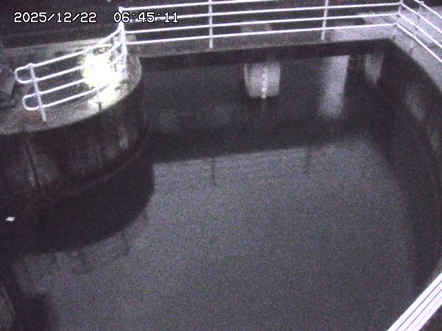 取得できませんでした