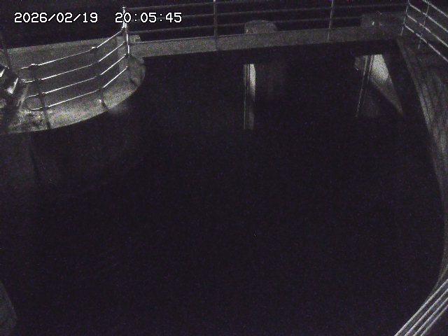 取得できませんでした