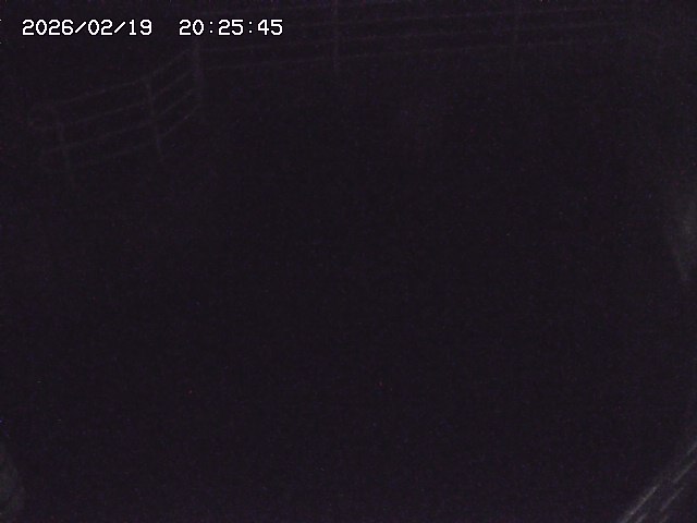 取得できませんでした