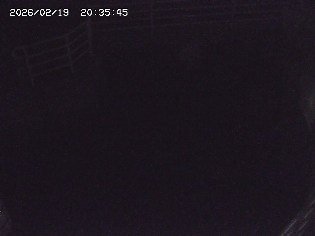 取得できませんでした