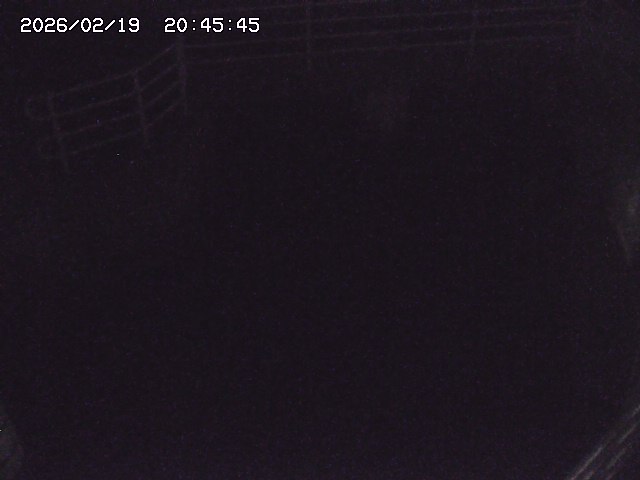 取得できませんでした