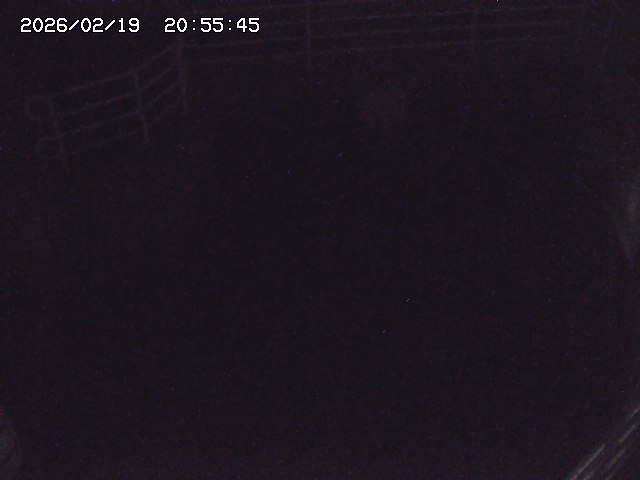 取得できませんでした