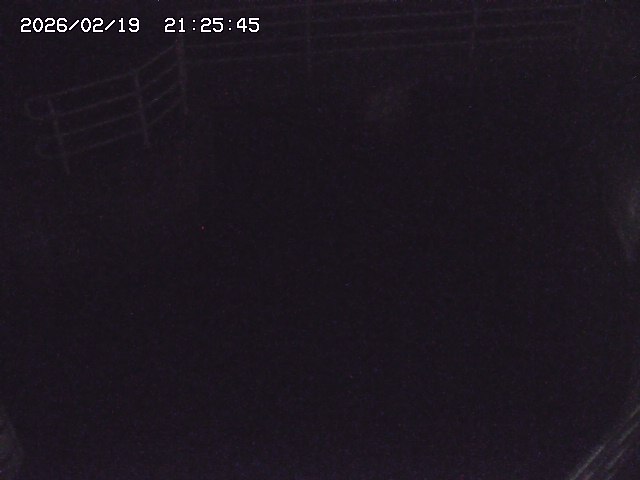 取得できませんでした