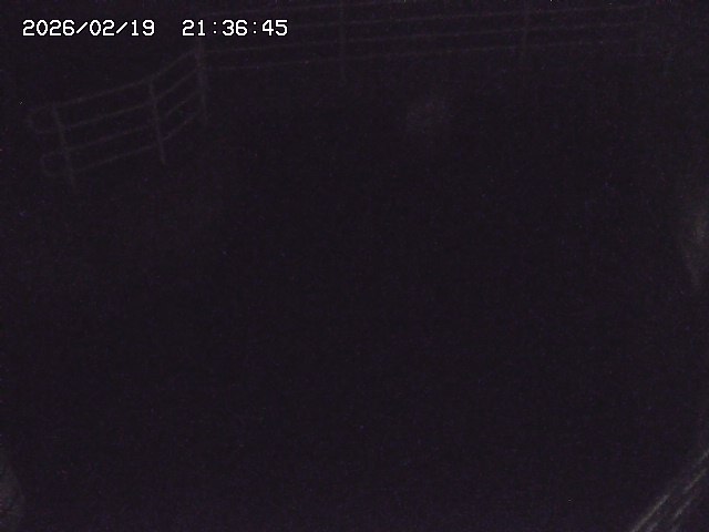 取得できませんでした