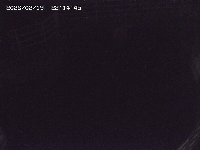 取得できませんでした