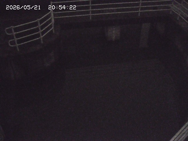 取得できませんでした