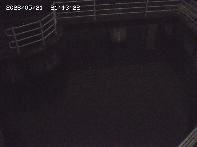 取得できませんでした