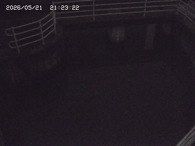 取得できませんでした