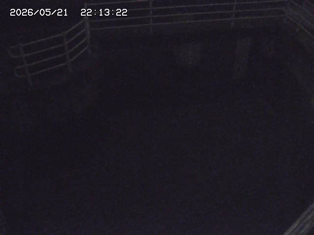 取得できませんでした