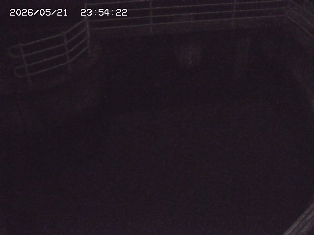 取得できませんでした