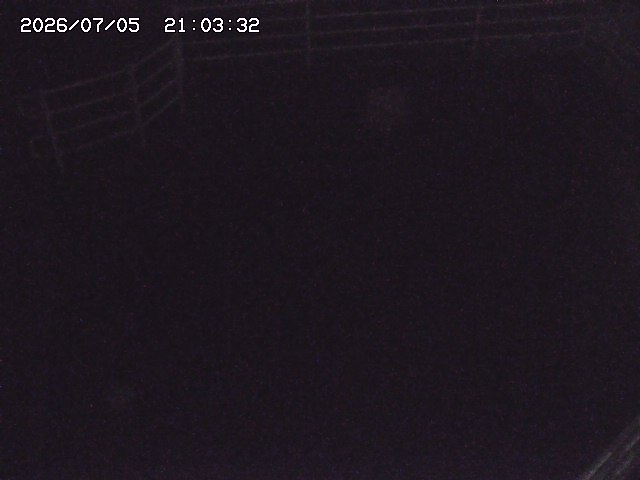 取得できませんでした
