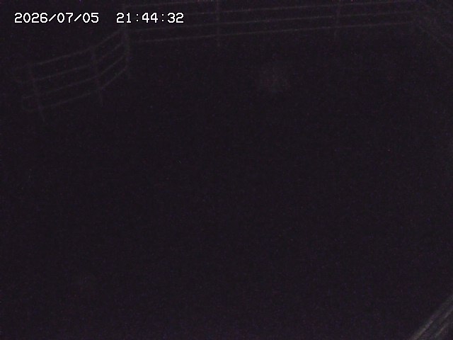 取得できませんでした