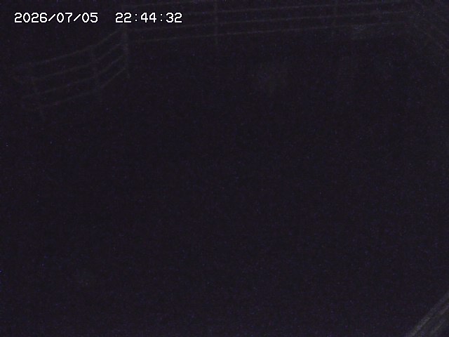 取得できませんでした