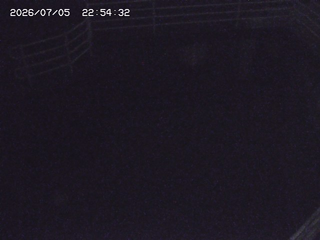 取得できませんでした