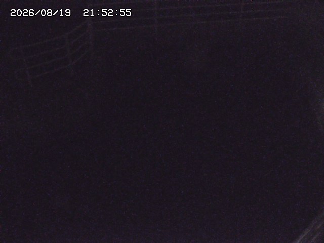 取得できませんでした