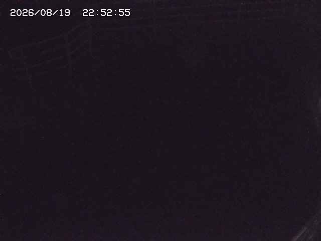 取得できませんでした