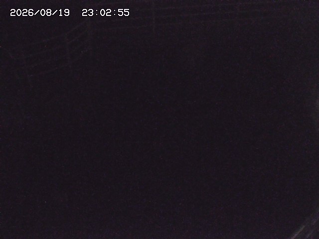 取得できませんでした