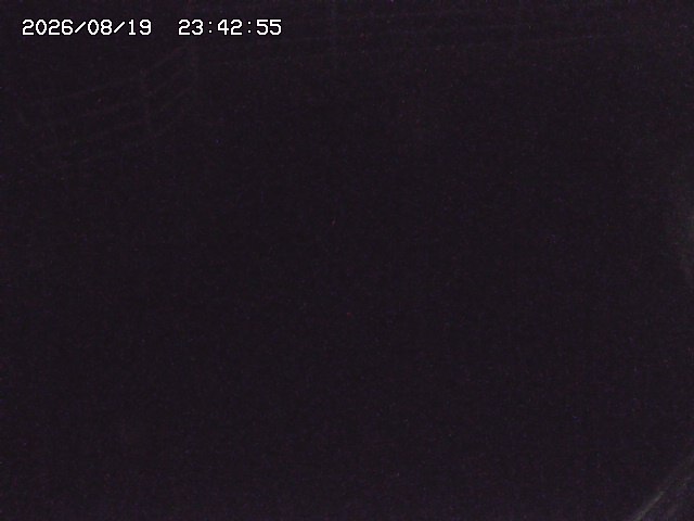 取得できませんでした