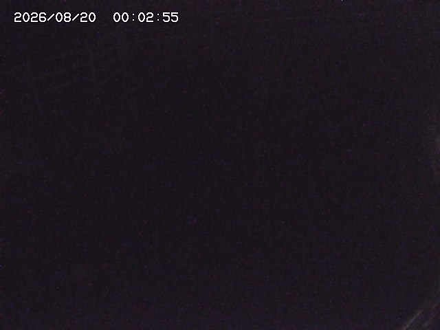 取得できませんでした