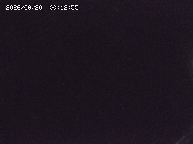 取得できませんでした