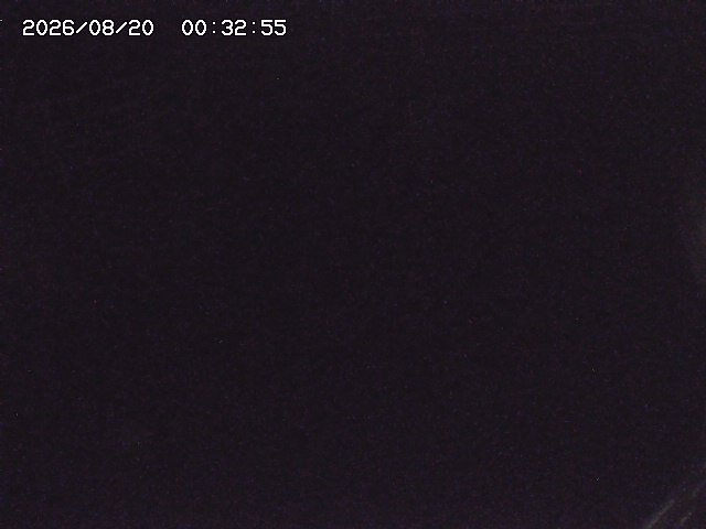 取得できませんでした
