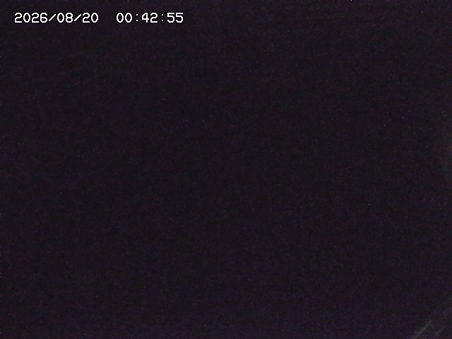取得できませんでした