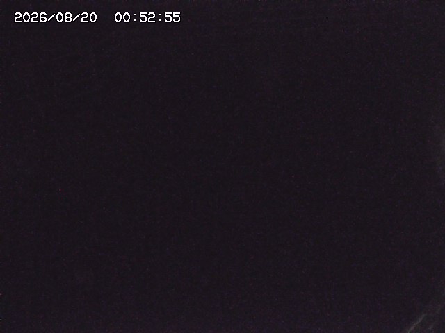 取得できませんでした