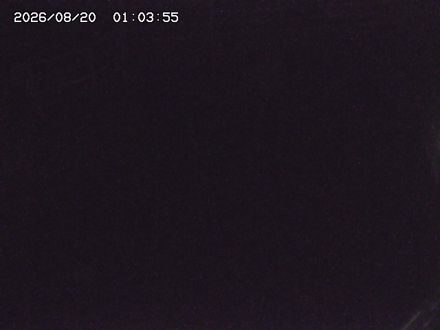 取得できませんでした