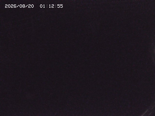 取得できませんでした