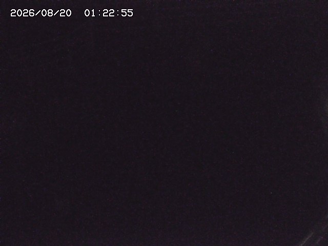 取得できませんでした