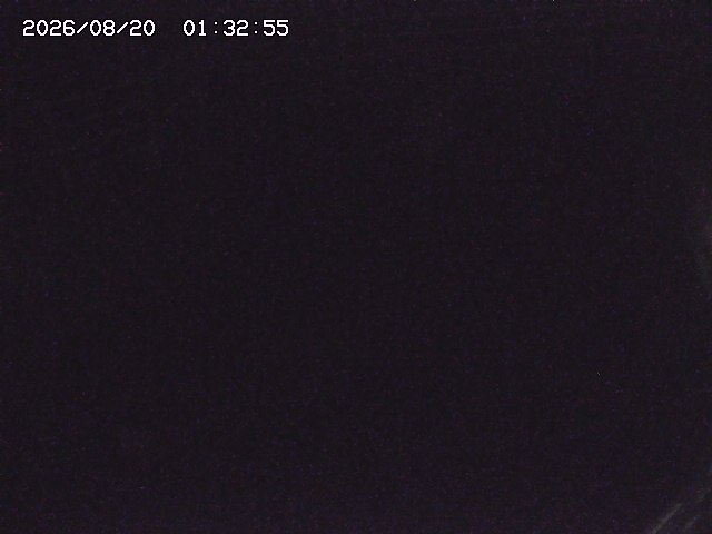 取得できませんでした