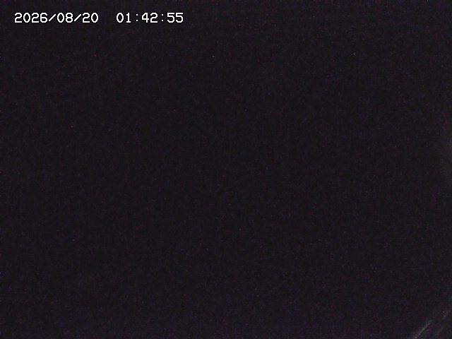 取得できませんでした