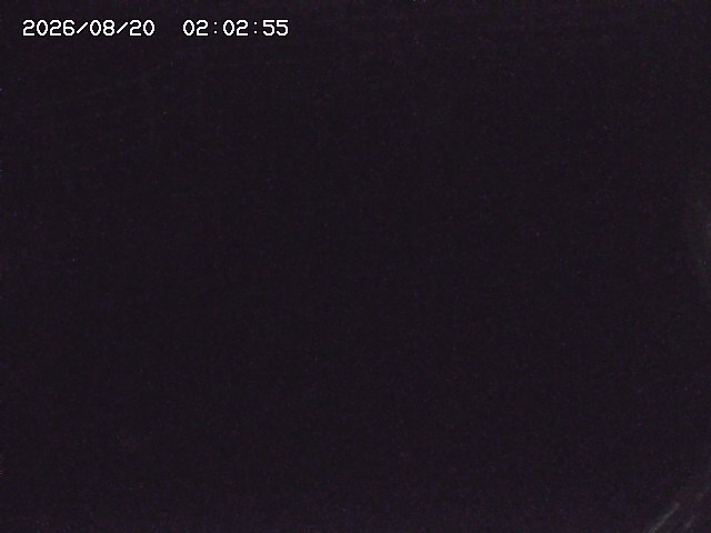 取得できませんでした