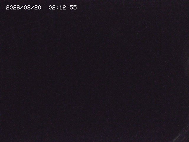 取得できませんでした
