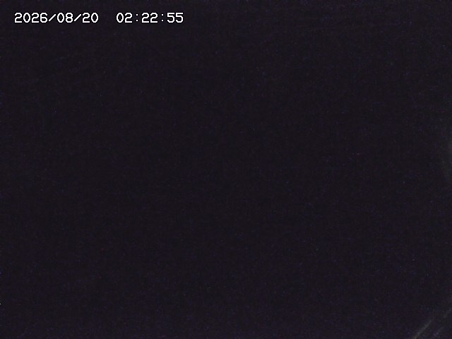 取得できませんでした