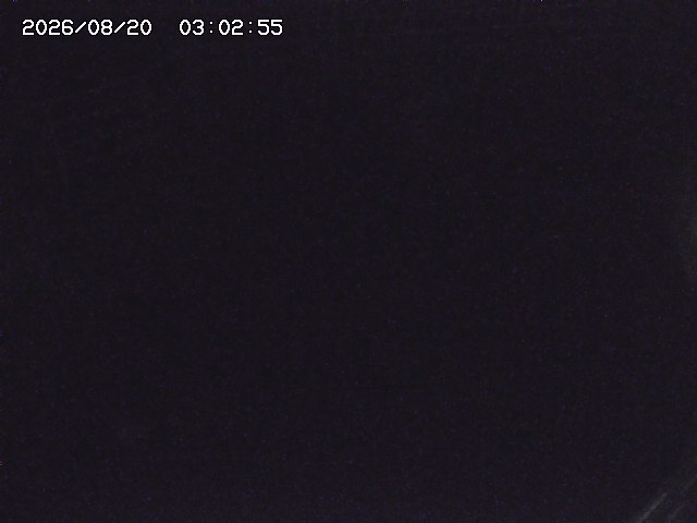 取得できませんでした