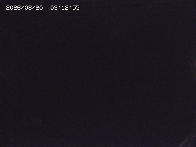 取得できませんでした