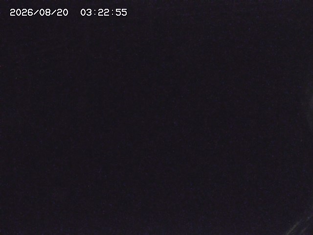 取得できませんでした