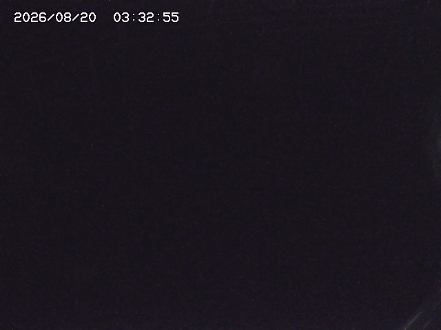 取得できませんでした