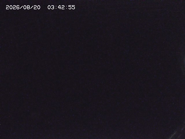 取得できませんでした