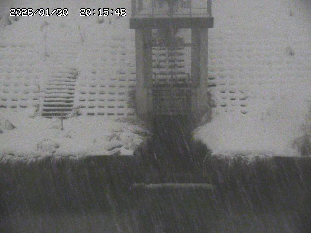 取得できませんでした