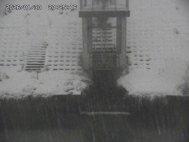 取得できませんでした